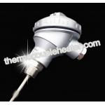 PT100 S/R/B Type Plastinum - Rhodium Temperature Meter Thermocouple Sensor for sale