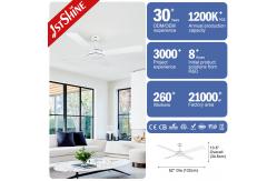 China English 1stshine Ceiling Fan with Remote Control Tropical Design 110v/220v CE Certificate supplier