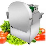 Small Fruit Vegetable Processing Machine Multifunctional Green Onion Cutter for sale