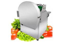 China Small Fruit Vegetable Processing Machine Multifunctional Green Onion Cutter supplier