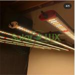 Daisy Chain 8bars 800w 10bars 1000w LED Grow Lights for sale