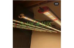 China Daisy Chain 8bars 800w 10bars 1000w LED Grow Lights supplier