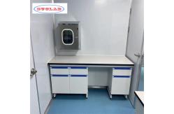 China Number of Hooks As Drawing Chemistry Lab Workbench with Stainless Steel supplier