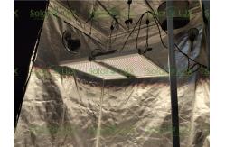 China 240 Watt Quantum Board Tent 2x2 Led Grow Light supplier