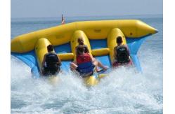 China Commercial Grade Rental Towable Inflatables Water Game Flying Fish For Seashore supplier