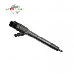 Fuel Injector 0445110748 0445110735 0445110734 For Bosch 110 Series CRI2-16