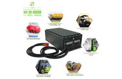 China CTS Electric Vehicle ATV AGV Lifepo4 Lithium Ion Battery Pack 24v 48v 80v With BMS supplier