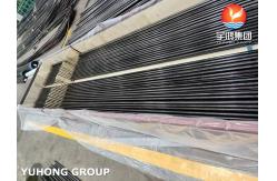 China EN10216-2 P235GH Carbon Steel U Bend Tube For Condenser, Heat Exchanger supplier