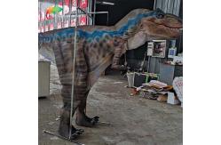 China Customized Detachable Animatronic Dinosaur Costume For Theme Park Decoration supplier