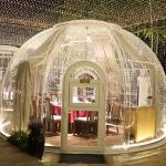 Transparent Garden Bubble Tent Homestay Disassemble Clear Bubble House for sale