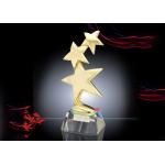Metal Star Custom Trophy Cup , Shiny Gold Plated Award Cups Trophies for sale