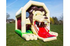 China Customized Inflatable Bouncer Slide Children Bouncy Castle supplier