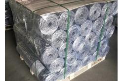 China 100x120mm Heavy Duty Hexagonal Wire Netting Gabion Mesh Oxidation Resistance supplier