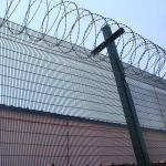 TLSW Square Post 358 Wire Mesh Fence Panel PVC Coated for sale