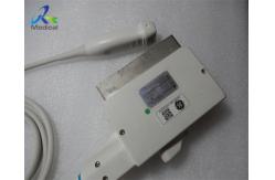 China GE 3S Sector Array Ultrasound Transducer Probe Hospital Medical Machine supplier