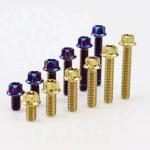 Titanium Hex Flange Taper Cap Bolts Racing Tuning For Automobile Motorcycle for sale