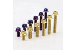 China Titanium flange bolt with 6 Points for Automobile and Race Motorcycle supplier