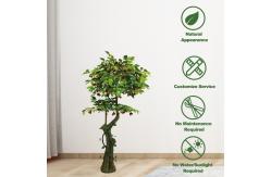 China Fabric Material Plastic Artificial Apple Tree Outside Home Decoration supplier
