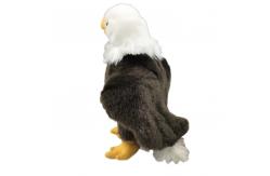 China White Headed Eagle Stuffed Plush Toys 100% Pp Cotton 30cm Or Customized supplier
