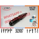 Injector Assy Fuel 3829087 03829087 3803637 3803638 889481 00889481 Nozzle Injector BEBE4C07001 BEBE4C08001 for sale