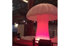 China Customized chinese new year inflatables mushroom supplier
