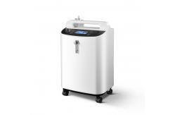 China CE Medical Care Oxygen Concentrator 10l O2 Concentrator With Dual Flows supplier