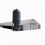 Customized Steel Structure Chicken House Industrial Weather Resistant for sale