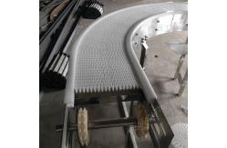 China                  Transport PP POM PE Modular Plastic Conveyor Belt              supplier