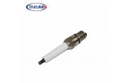 China 69919D RB77WPCC GE3 5 Generator Spark Plug supplier