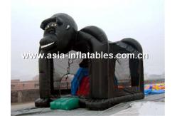 China inflatable combo inflatable castle combo inflatable bouncer combo supplier
