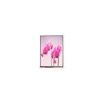 AUO A035QN05 V0 LCD Screen Display Panel 320*240 QVGA 115PPI For Printer for sale