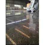 220V Floor Grinding Polishing Machine 550mm Polisher Grinder With Adjustable Speed