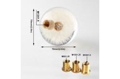 China 70mm Crystal Resin Shift Knob Real Flowers Dandelion Shift Knob supplier