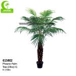 HAIHONG Height 150cm Artificial Phoenix Palm , Artificial Palm Plant Indoor Customizable for sale