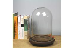 China Wood Base D20*H40cm Borosilicate Glass Dome Display Cloche supplier