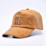 Custom 3d Structured Embroidery Corduroy Gorras Baseball Cap Wholesale 5 Panel Adjustable Snapback Baseball Cap for sale