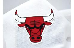 China Realistic TPU Heat Transfer Label Animal 2D 3D Bull Head Pattern supplier