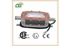 China High Bright Cree COB LED Explosion Proof Light CSA CE , 6500K LED Floodlight supplier