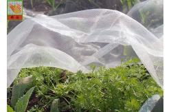 China Green HDPE Agricultural Insect Netting For Protecting Crops And Fruits supplier