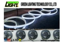 China Silicone 12w Ip68 SMD5050 Flexible Led Light Strips supplier