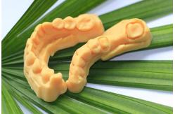 China CAD CAM Photosensitive Resin Composite Dental 3D Print model supplier