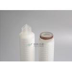 White Color Double Layers Water Filtration Cartridges 0.22 / 0.45 Micron for sale