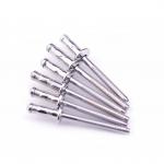 SUS304 / SUS316 Stainless Steel MultiGrip Blind Rivet Bright Finish for sale