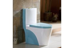 China 300mm 400mm Roughing In Siphonic One Piece Toilet Sanitary Ware WC supplier