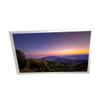 HSD089IFW3-A00 8.9 inch 1024*600 WLED tft lcd screen LCD Module Display panel for sale