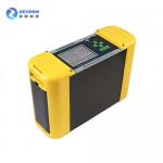 CH4 CnHm CO2 Portable Natural Gas Analyzer Online Real Time Yellow for sale