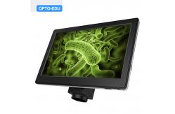 China USB2.0 Mouse Measure 5.0M 10x Zoom Digital Microscope Camera supplier