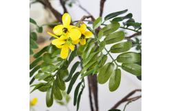 China Anti Uv Sunshine Tree Leaves Artificial Bonsai for Dorm Room supplier