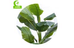 China HAIHONG High Simulation Artificial Potted Floor Plants 160cm supplier