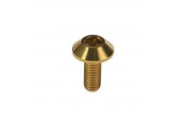 China M6X16 ASTM Gr5 Titanium Umbrella Head Bolt Screws Fastener for Machine supplier